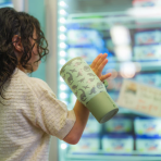 Dinosaur Traveler - Image 8